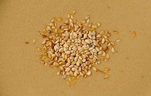 sesame paste.jpg